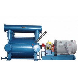 2BEP TYPE GAS DRAINAGE PUMP