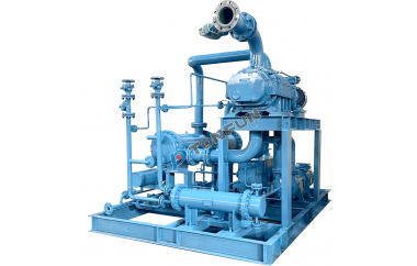 天津大港电力项目机组