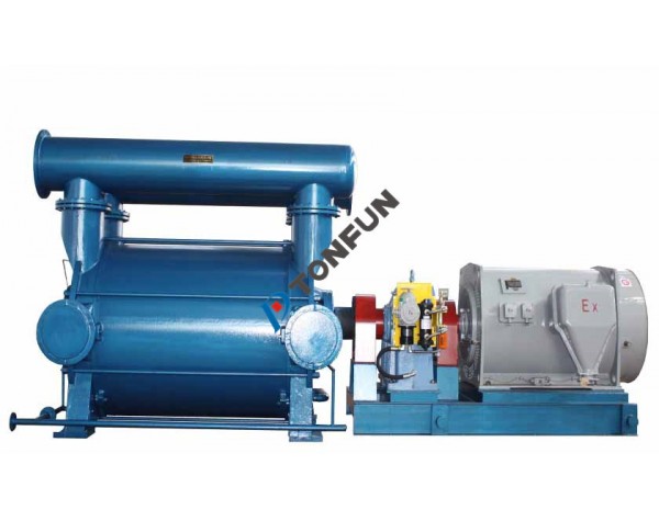 2BEP TYPE GAS DRAINAGE PUMP